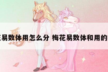 梅花易数体用怎么分 梅花易数体和用的找法