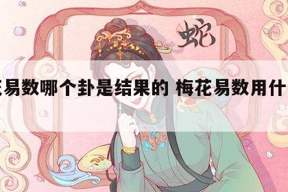 梅花易数哪个卦是结果的 梅花易数用什么解卦