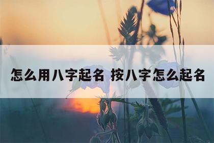 怎么用八字起名 按八字怎么起名