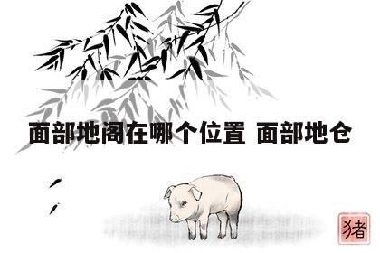 面部地阁在哪个位置 面部地仓