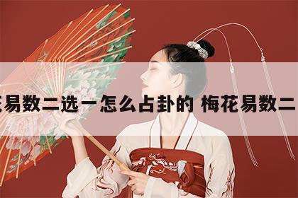 梅花易数二选一怎么占卦的 梅花易数二爻动