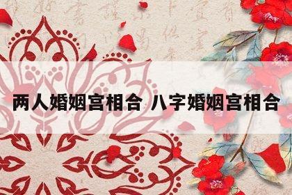 两人婚姻宫相合 八字婚姻宫相合