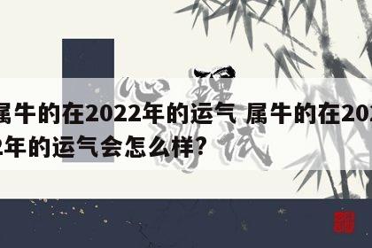 属牛的在2022年的运气 属牛的在2022年的运气会怎么样?