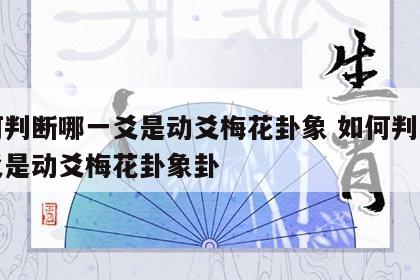 如何判断哪一爻是动爻梅花卦象 如何判断哪一爻是动爻梅花卦象卦