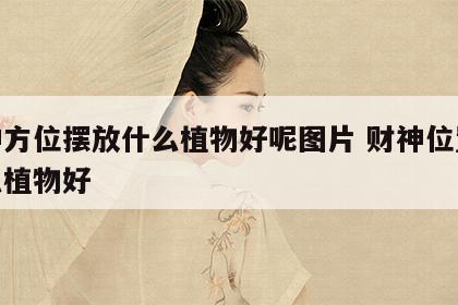 财神方位摆放什么植物好呢图片 财神位置放什么植物好