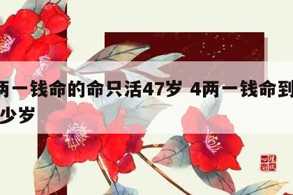 4两一钱命的命只活47岁 4两一钱命到底多少岁