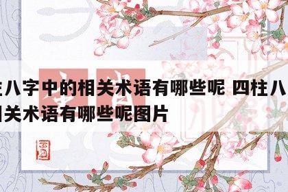 四柱八字中的相关术语有哪些呢 四柱八字中的相关术语有哪些呢图片