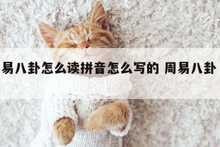 周易八卦怎么读拼音怎么写的 周易八卦 读音