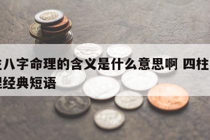 四柱八字命理的含义是什么意思啊 四柱八字命理经典短语