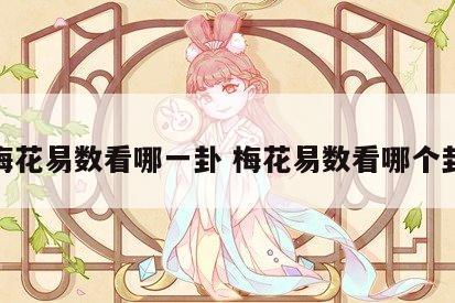 梅花易数看哪一卦 梅花易数看哪个卦