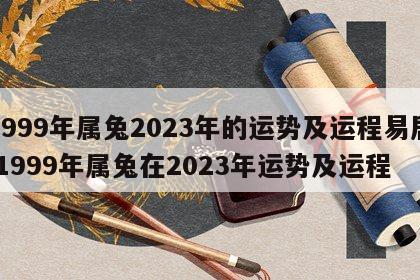 1999年属兔2023年的运势及运程易居 1999年属兔在2023年运势及运程
