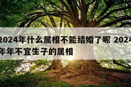 2024年什么属相不能结婚了呢 2024年年不宜生子的属相