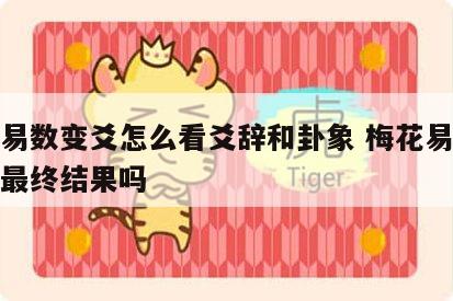 梅花易数变爻怎么看爻辞和卦象 梅花易数变卦是最终结果吗