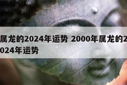 属龙的2024年运势 2000年属龙的2024年运势