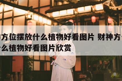 财神方位摆放什么植物好看图片 财神方位摆放什么植物好看图片欣赏
