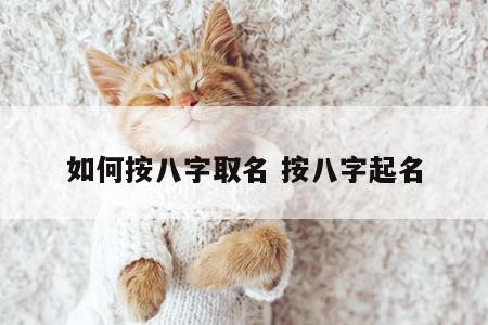 如何按八字取名 按八字起名