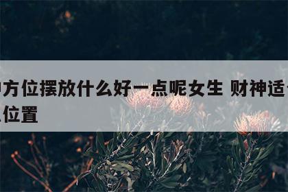 财神方位摆放什么好一点呢女生 财神适合放什么位置