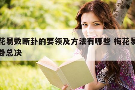 梅花易数断卦的要领及方法有哪些 梅花易数断卦总决