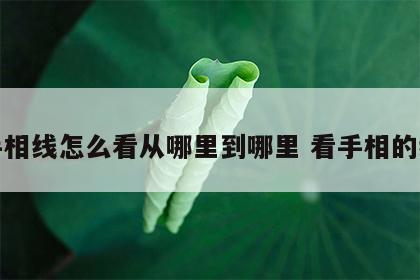 手相线怎么看从哪里到哪里 看手相的线