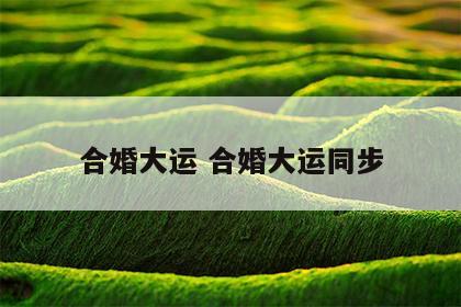 合婚大运 合婚大运同步