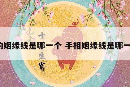 手的姻缘线是哪一个 手相姻缘线是哪一条?