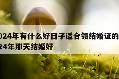 2024年有什么好日子适合领结婚证的 2024年那天结婚好