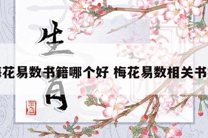 梅花易数书籍哪个好 梅花易数相关书籍