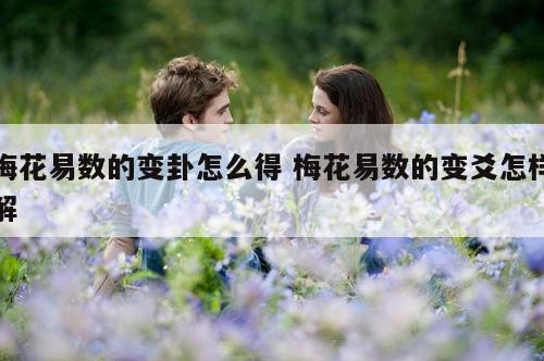 梅花易数的变卦怎么得 梅花易数的变爻怎样解