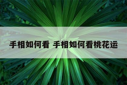 手相如何看 手相如何看桃花运