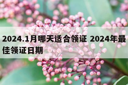 2024.1月哪天适合领证 2024年最佳领证日期