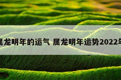 属龙明年的运气 属龙明年运势2022年