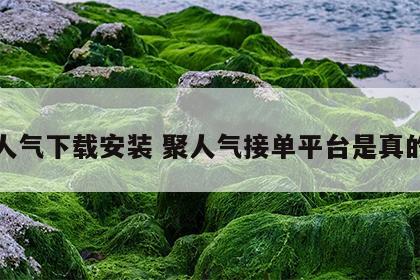 聚人气下载安装 聚人气接单平台是真的吗