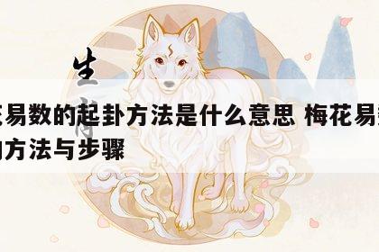 梅花易数的起卦方法是什么意思 梅花易数起卦的方法与步骤