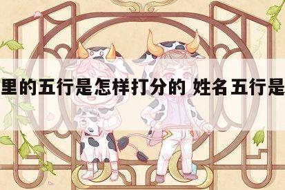 姓名里的五行是怎样打分的 姓名五行是什么意思