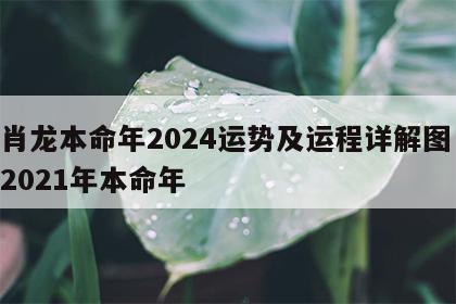 生肖龙本命年2024运势及运程详解图 属龙2021年本命年