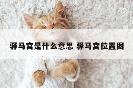 驿马宫是什么意思 驿马宫位置图