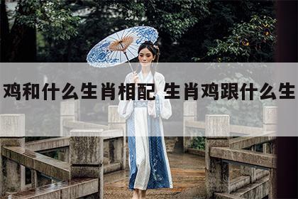生肖鸡和什么生肖相配 生肖鸡跟什么生肖最配