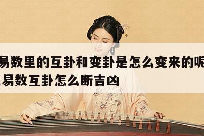 梅花易数里的互卦和变卦是怎么变来的呢视频 梅花易数互卦怎么断吉凶