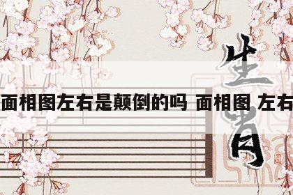 面相图左右是颠倒的吗 面相图 左右