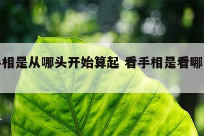 看手相是从哪头开始算起 看手相是看哪一只手