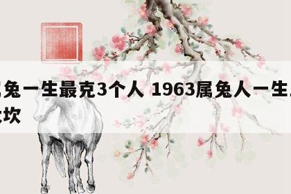 属兔一生最克3个人 1963属兔人一生三大坎