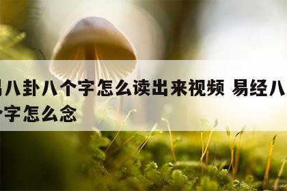 周易八卦八个字怎么读出来视频 易经八卦的八个字怎么念