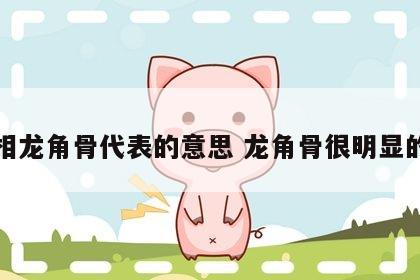 面相龙角骨代表的意思 龙角骨很明显的人