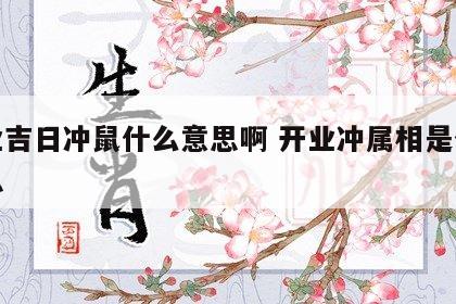 开业吉日冲鼠什么意思啊 开业冲属相是什么意思