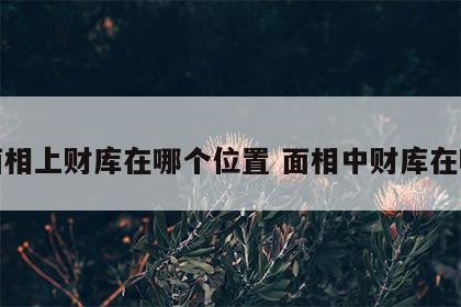 面相上财库在哪个位置 面相中财库在哪