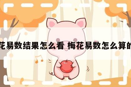 梅花易数结果怎么看 梅花易数怎么算的准