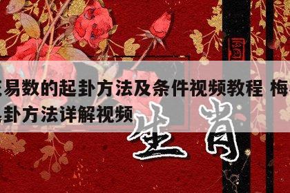 梅花易数的起卦方法及条件视频教程 梅花易数起卦方法详解视频