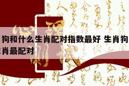 生肖狗和什么生肖配对指数最好 生肖狗与什么生肖最配对