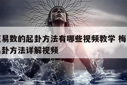 梅花易数的起卦方法有哪些视频教学 梅花易数起卦方法详解视频