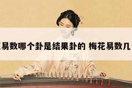 梅花易数哪个卦是结果卦的 梅花易数几个卦